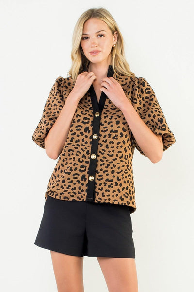 Contrast Trim Cheetah Print Top-Animal Print,Black Contrast Trim,Cheetah Print,clothing,Contrast Trim,Knit Top,Puff Sleeve,Top,Tops,Women,women's-XS-[option4]-[option5]-[option6]-Bella Bliss Boutique in Texas