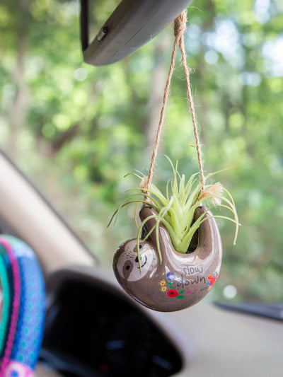 Faux Succulent Car Charm-Car Charm,Faux Succulent,Grey Sloth,Happy Van,Live Happy,Mirror Ornaments,misc,Miscellaneous,Mushroom,Slow Down,Van-Grey Sloth-[option4]-[option5]-[option6]-Bella Bliss Boutique in Texas