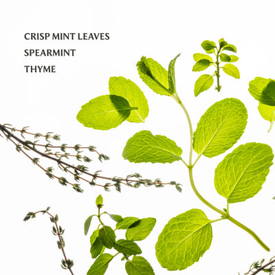 Frosted Mint Power Mist Hydrating Hand Sanitizer-Children & Tween,Children & Tweens,Childrens/Tween,gift,Gifts,Gifts for Her,Gifts for Him,Hand sanitizer,Mint,Sanitizer,Spa,Touchland,Women,women's-[option4]-[option5]-[option6]-Bella Bliss Boutique in Texas