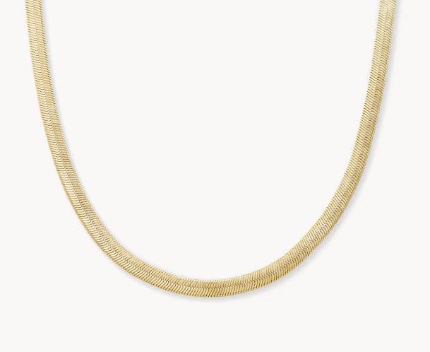 Kendra Scott Kassie Chain Necklace-14k Gold,Chain Necklace,Herringbone,Jewelry,Kendra Scott,necklace,necklaces,Women,women's-[option4]-[option5]-[option6]-Bella Bliss Boutique in Texas