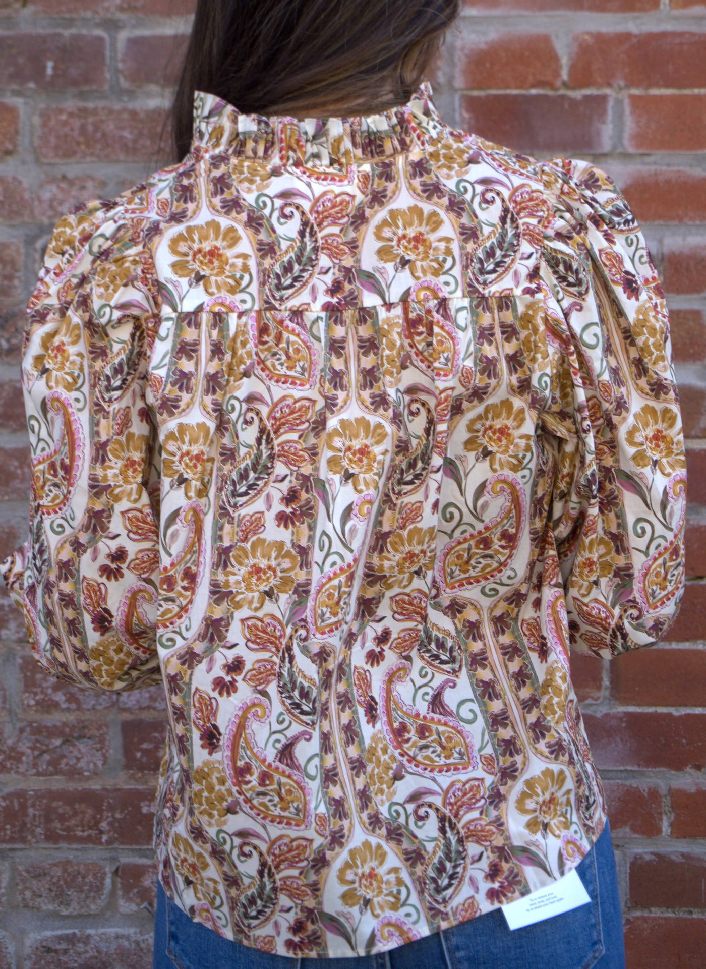 Paisley Ruffled Band Collar Top-blouse,blouses,clothing,Entro,Long Sleeve,Paisley,Puff Sleeve,Ruffle Detail Top,Top,Tops,V-Neck,Women,women's-[option4]-[option5]-[option6]-Bella Bliss Boutique in Texas