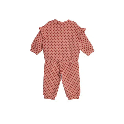 Red Velvet 2-Piece Set-Bottoms, Children & Tweens, children's, clothing, Floral Print, Infant to 6, Outfit, Pink, Ruffle Detail, Top, Tops-2T-[option4]-[option5]-[option6]-Bella Bliss Boutique in Texas