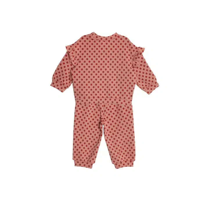 Red Velvet 2-Piece Set-Bottoms,Children & Tweens,children's,clothing,Floral Print,Infant to 6,Outfit,Pink,Ruffle Detail,Top,Tops-[option4]-[option5]-[option6]-Bella Bliss Boutique in Texas