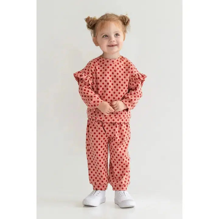 Red Velvet 2-Piece Set-Bottoms, Children & Tweens, children's, clothing, Floral Print, Infant to 6, Outfit, Pink, Ruffle Detail, Top, Tops-[option4]-[option5]-[option6]-Bella Bliss Boutique in Texas