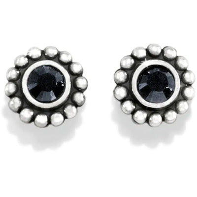 Twinkle Mini Post Earrings-Brighton, Crystal, Earring, Earrings, Jewelry, Mini Post, Post Earrings, Twinkle-Black-[option4]-[option5]-[option6]-Bella Bliss Boutique in Texas