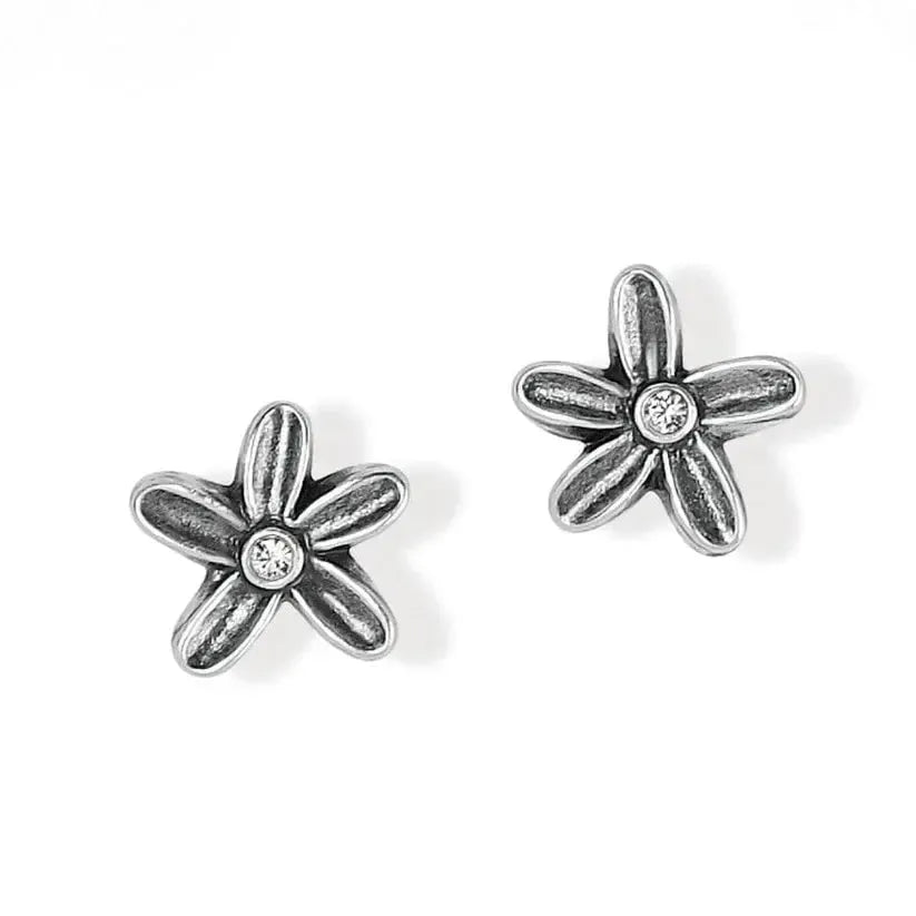 Wild Flowers Post Earrings-Brighton,Earrings,Flower,Jewelry,Post Earrings,wild flowers-[option4]-[option5]-[option6]-Bella Bliss Boutique in Texas